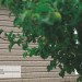 Сайдинг Ю-Пласт TIMBERBLOCK Пихта (Тимберблок) Cахалинская купить в Геленджике