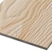 Фиброцементные панели FCSPRO Decor Wood Лиственница купить в Геленджике