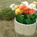 Цветник КАНЬОН купить в Геленджике